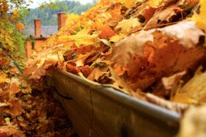 Clogged Gutters