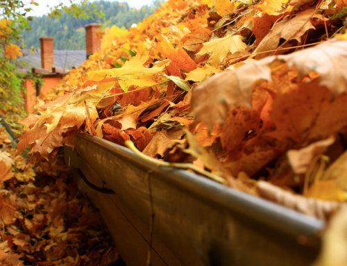 Managing Clogged Gutters In Southern Oregon